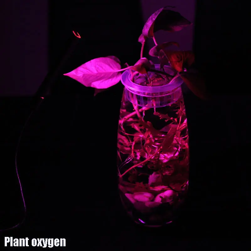 USB grow led plant light tent box indoor Plan full spectrum lamps cob growbox ultraviolet greenhouse gardening Groeien Seedlings
