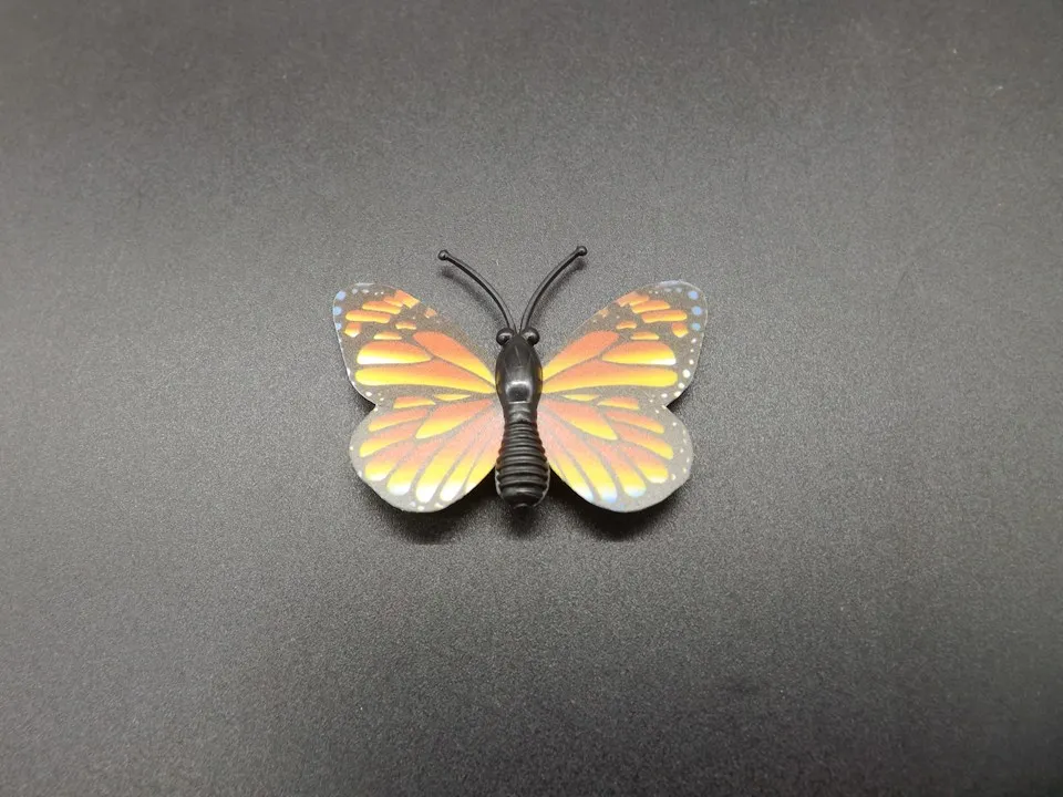I258-Butterfly (6)