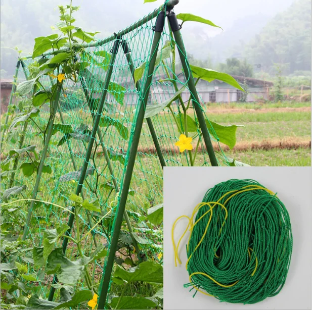 

Ivy Climbing Frame Home Gardening Net Fruit Plants Fence Plastic Nylon Net 1.8*1.8M/2.7M/3.6M Mesh Net 10CM Grid