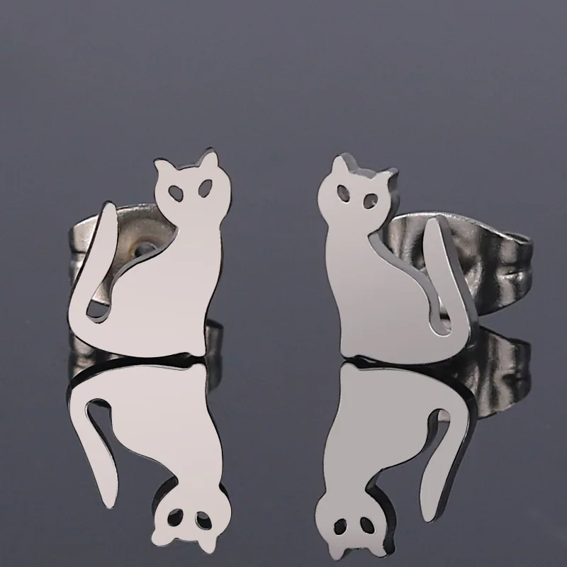 Titanium Steel Earrings