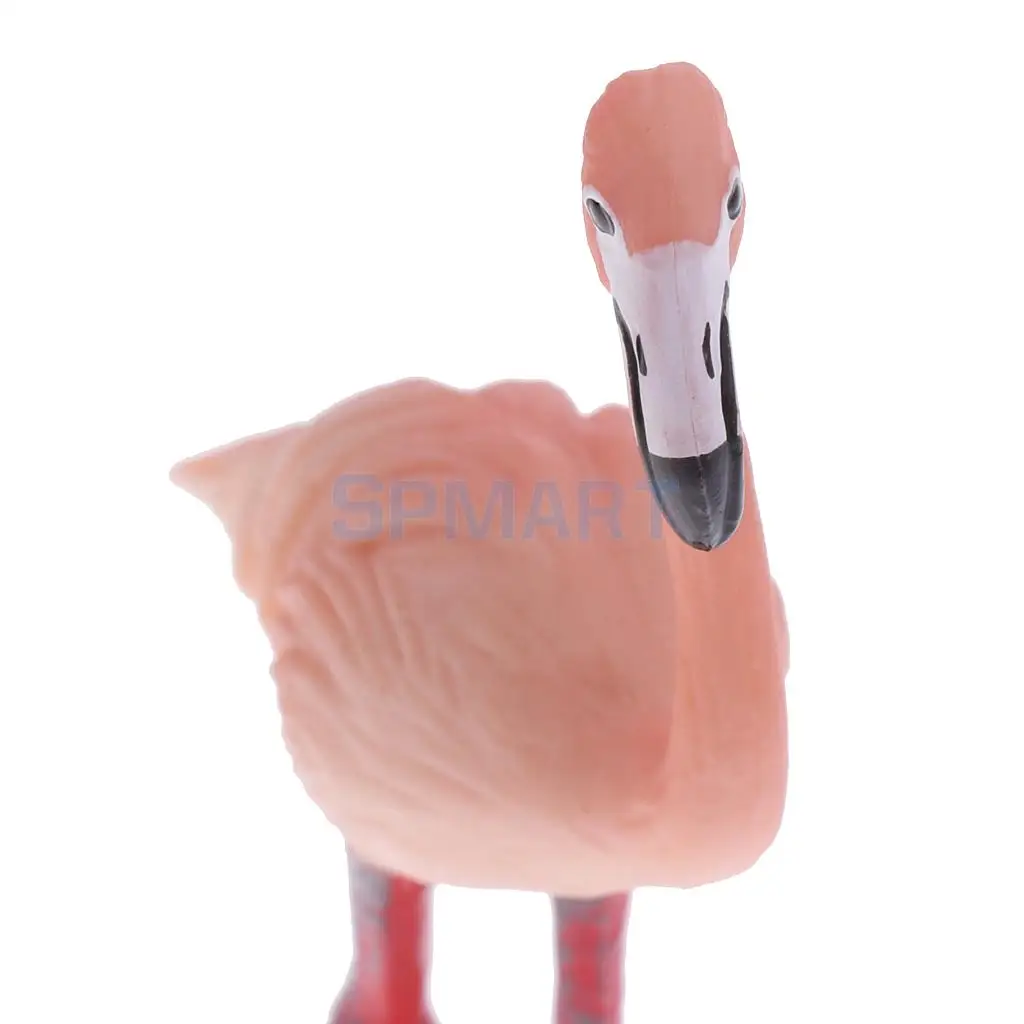 Simulation Wildlife Farm Pet Animal Model Action Figures Figurine Kid Educational Science Nature Toy Home Collectible Decoration