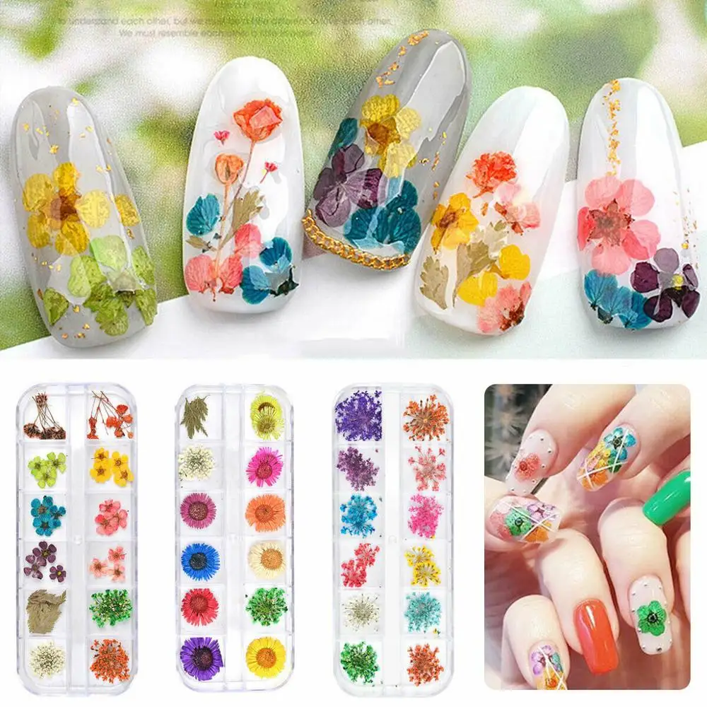 

3D Real Dry Dried Flower Nail Sticker 3 Styles 12 pcs Nail Art Tips Decoration Make up Tools