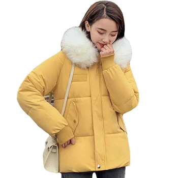 

With Fur Collar Hooded 2019 Women Winter Jacket Cotton Padded Outwear Female Short Parka 4 Colors Coat