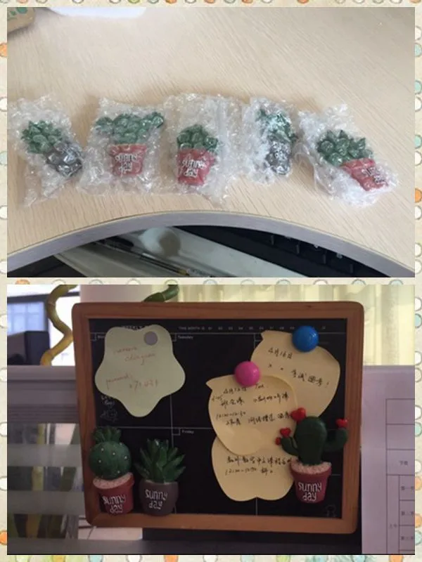 Cute Cactus Succulent Plants Fridge Magnets - Customer Showcase