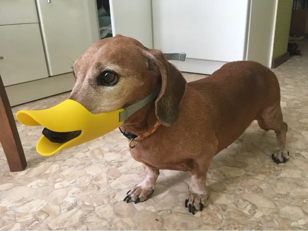 Cute Duck Dog Muzzle Silicone