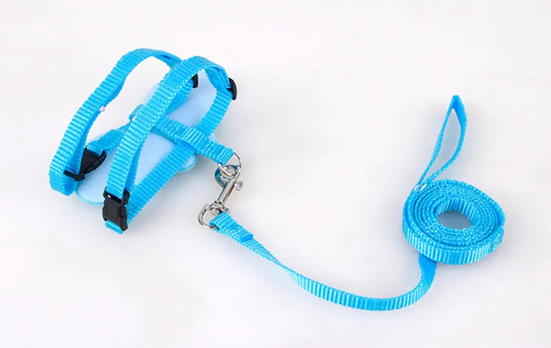 W]`6SD{UWA4$1QBT36]BO58_