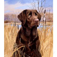 На заказ Алмазная картина eigen foto Птица Животные Собаки 5d diy Мандала Алмазная картина Полная площадь/круглые фильмы для украшения дома