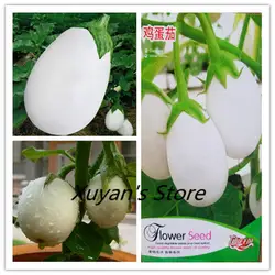 True Egg баклажаны Белый Баклажан Solsnum melongena овощей для дома и сада 100% настоящая фабрика посылка
