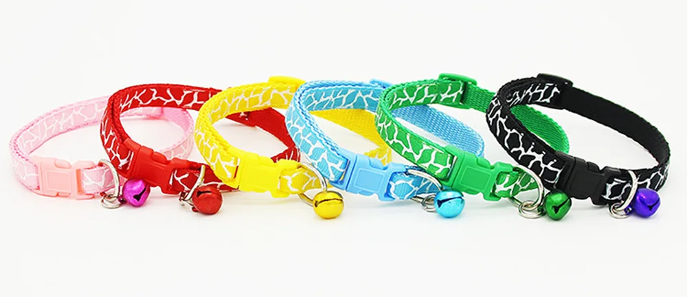 3238662254_1295703088