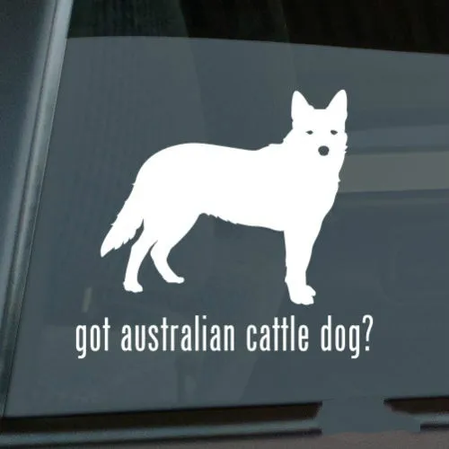

Got Australian Cattle Dog Sticker Die Cut Vinyl - heeler Car decal Size(inch): 6.00 x 5.43