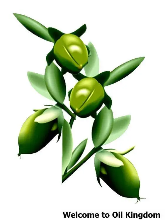 Beli 100% pure tanaman dasar minyak jojoba minyak perawatan kulit air kunci pelembab pori pori unclog australia minyak pijat pengobatan jerawat