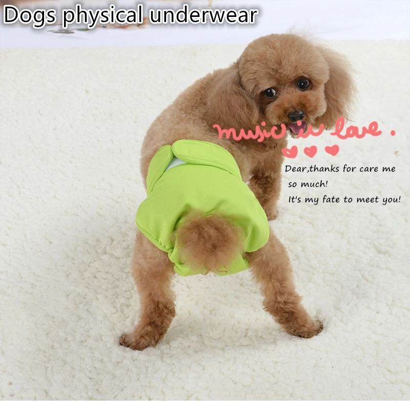 dog diapers female near me