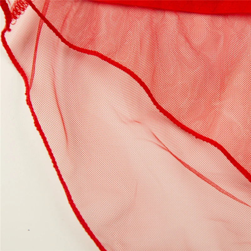 Plus size Women Panties Sexy Lace Thongs Ultra-thin mesh Transparent lingerie Women's Soft Briefs Bow Panty Underwear 00