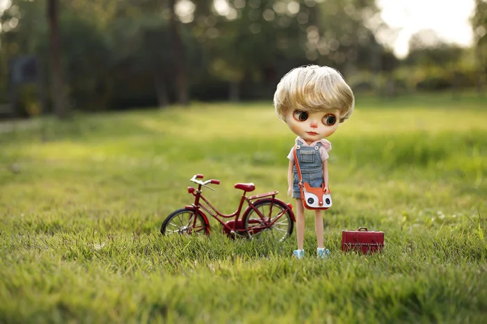 DOLL ACCESSOREIS  (6)
