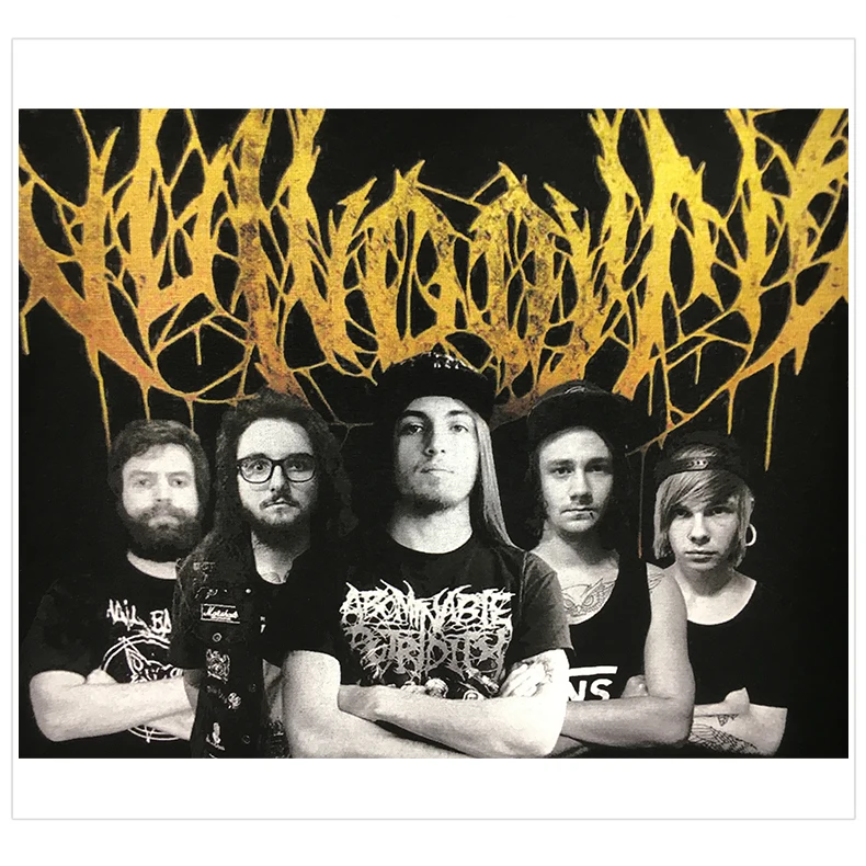 Bloodhoof Vulvodynia брутальный Deathcore рок-группа Finis Omnium invesantiam альбом Мужская черная футболка в летнем азиатском размере