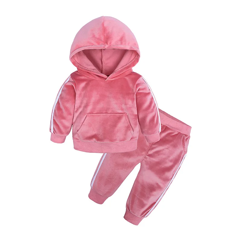 Модные комплекты одежды для мальчиков и девочек, теплый детский комплект на осень и зиму, Бархатный спортивный костюм с капюшоном+ штаны, костюм из 2 предметов для 1-8 лет - Цвет: pink
