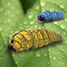 New Arrival Infrared RC Bug Simulative Remote Control Animal Electric Toy Funny Novelty Children Kids Christmas