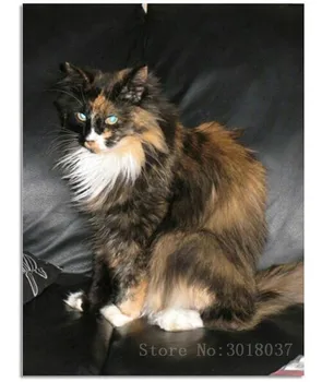 

Diamond Embroidery Stare An Angry Cat 5D Diy Diamond Painting Cross Stitch Full Square 3D Diamond Mosaic Decorative Sticker Kits