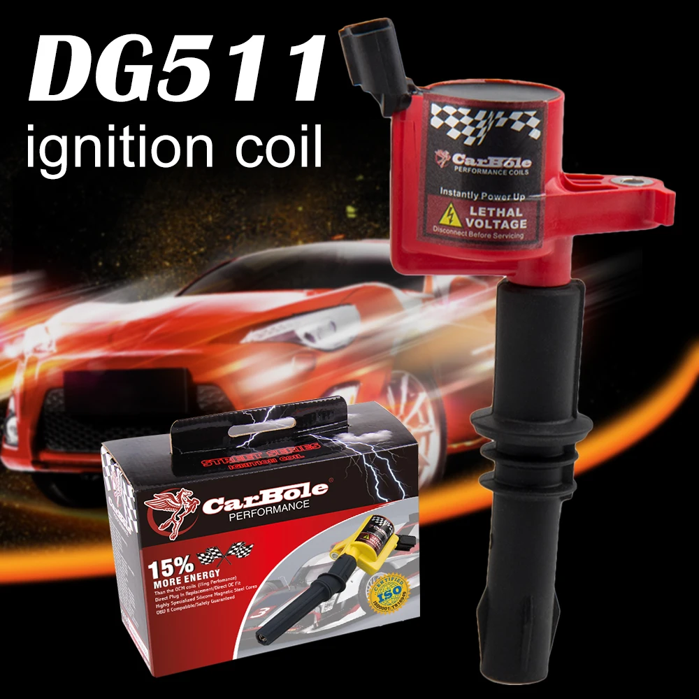 DG511 (1)