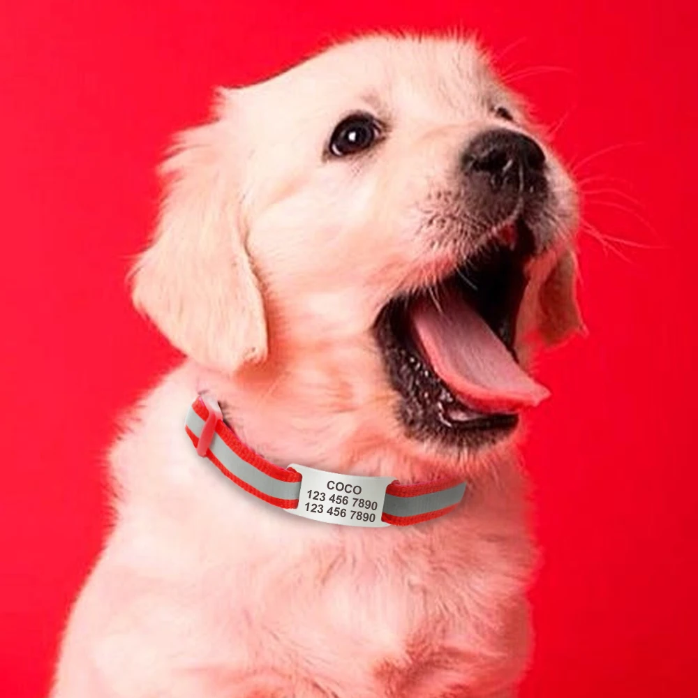 Scegliere Produttore Alta Qualità Etichette Per Collare Per Cane E - Foto 11