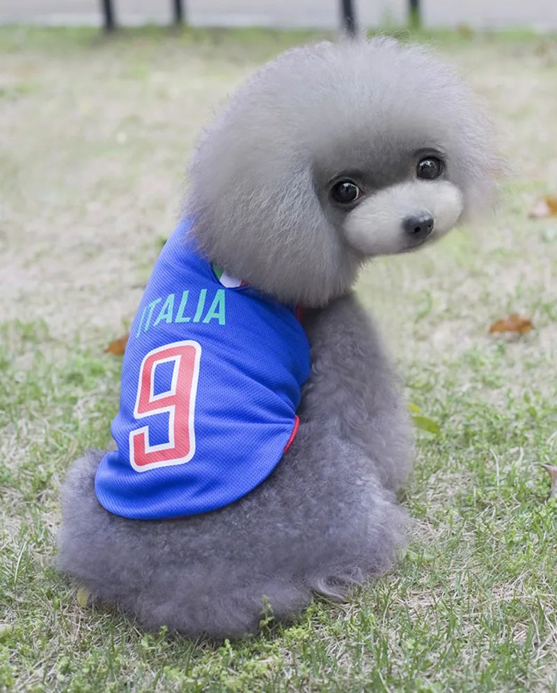 2111445132_973929501