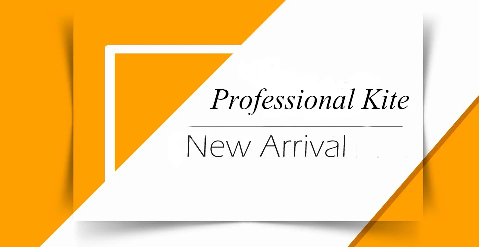 professional-