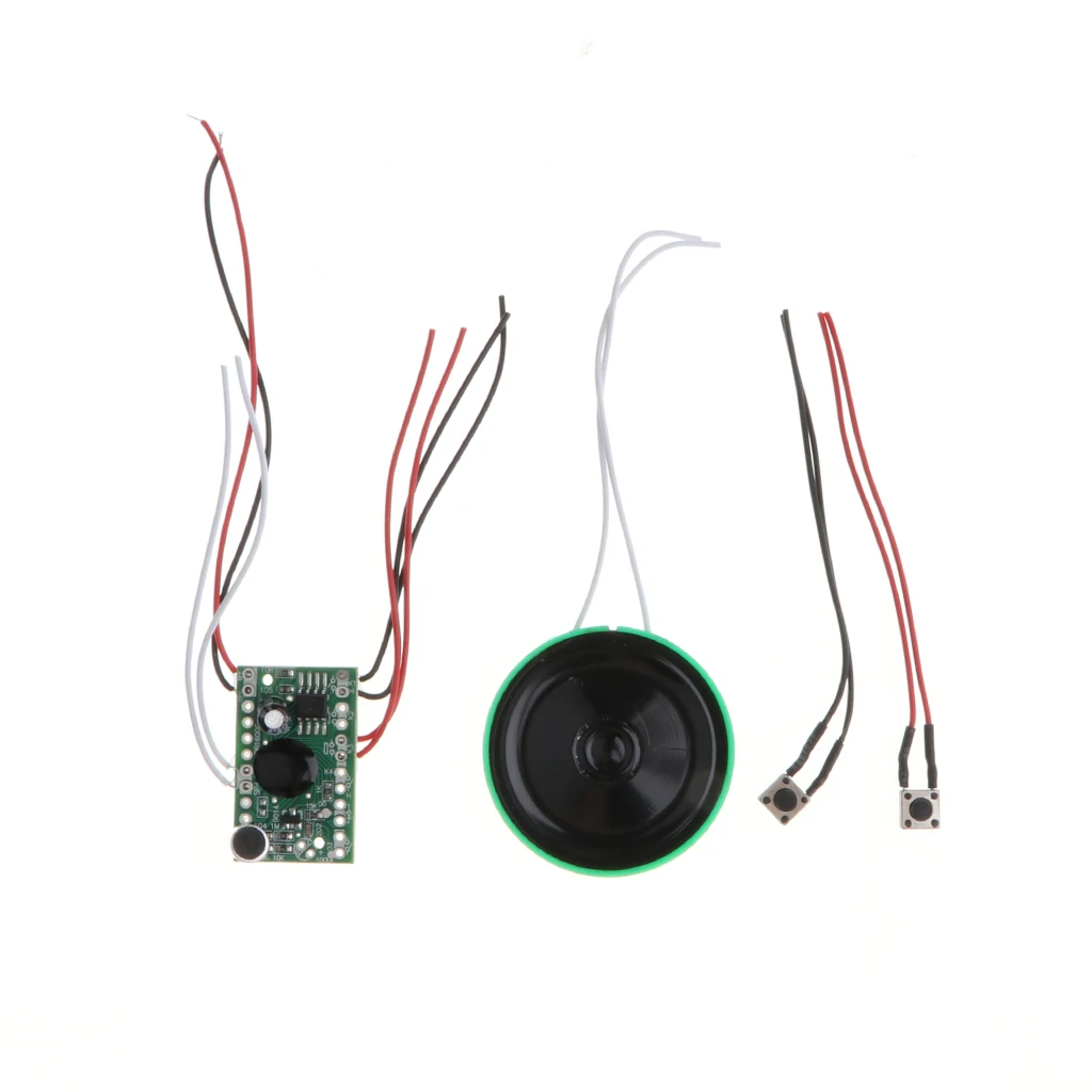 DIY Electric Recorder Model Toy Electrical Circuit Puzzle Exporing Experiments Physics Educational School Kids Teaching Aids