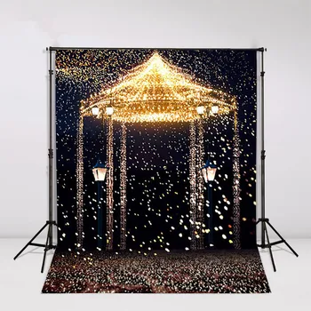 

2Photography Background 300cm*600cm Wedding Backdrops Photography funds study Romantic lighting pavilion Little Star Photografia