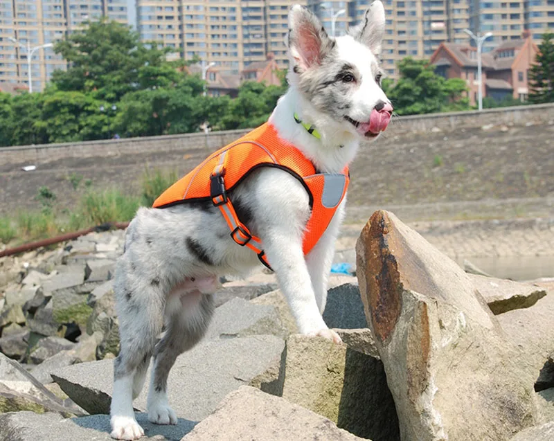 Безопасные Светоотражающие охлаждающие жилеты для собак, одежда для маленьких и средних собак, одежда для охоты, спорта на открытом воздухе, товары для собак