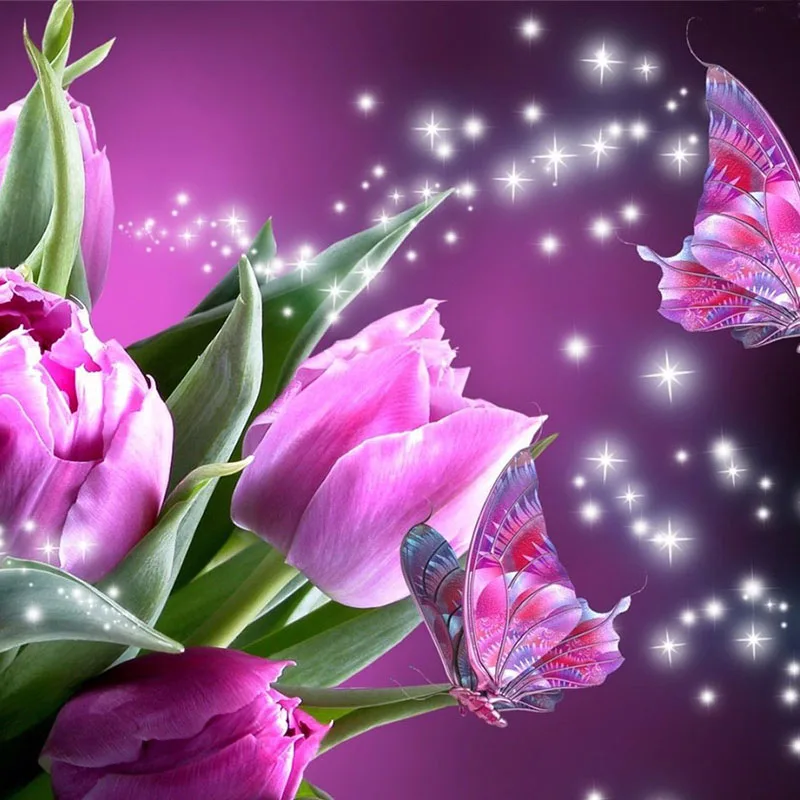 My Image 100
