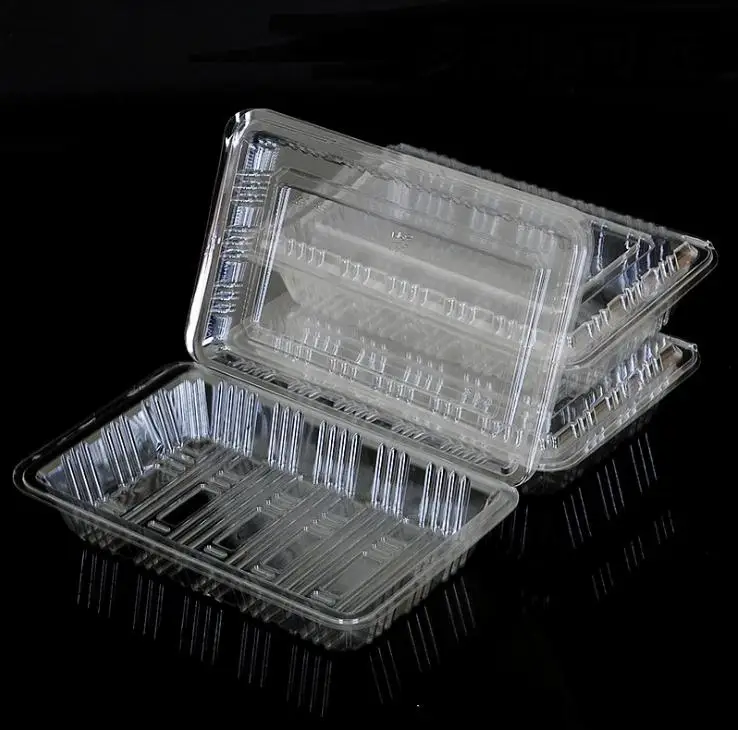 Take Out Sushi Container with Lid Blue Clear PET Salad Fruit Cake Tray 7.25 x 5"