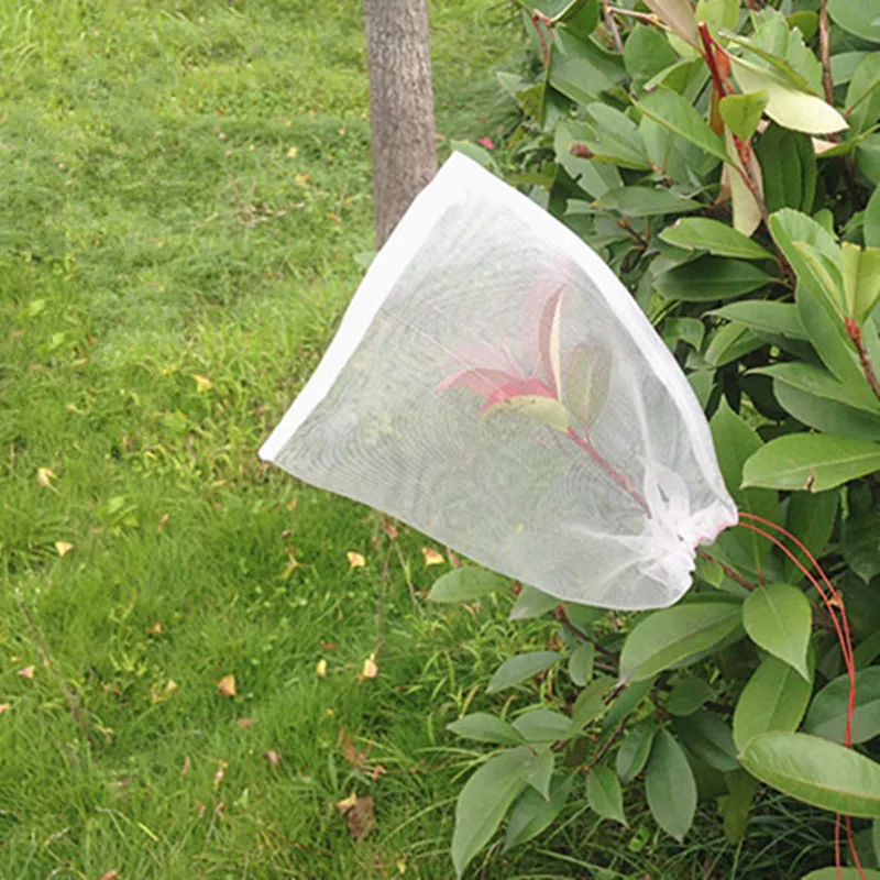 WHISM 10PCS Garden Plants Vegetable Fruit Protection Bag Anti Bird Drawstring Netting Mesh Bag