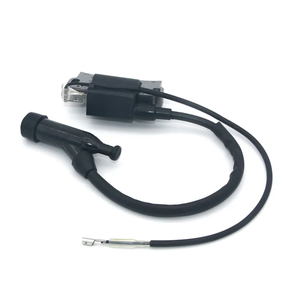 Ignition coil (6)