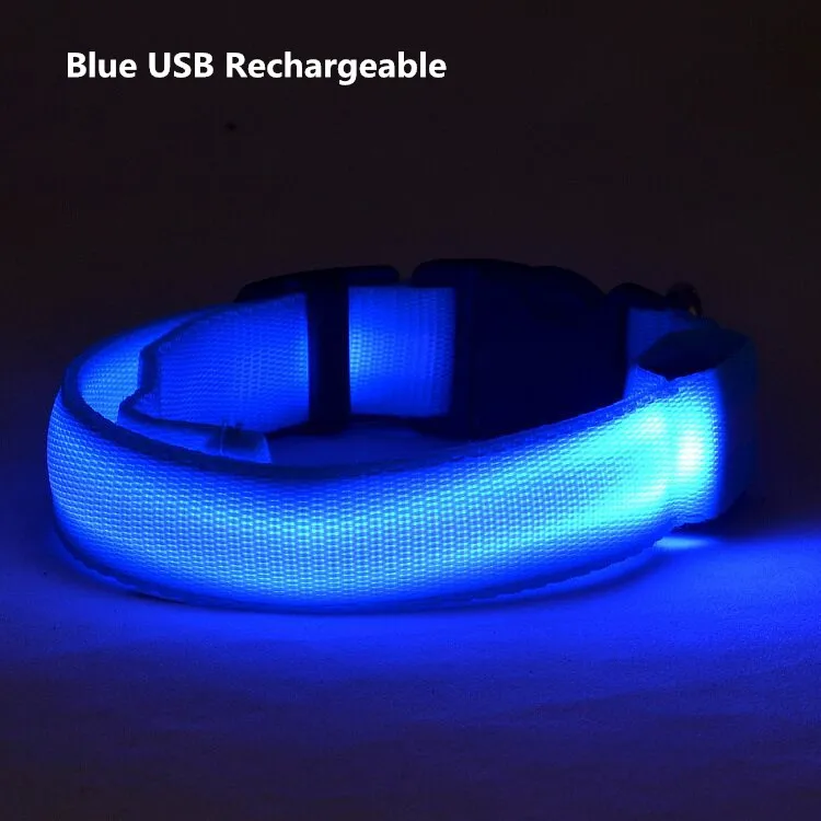 blue USB recharge Светодиодный ошейник для собак Honden Halsband с питанием от батареи или USB Перезаряжаемый поводок для собак люминесцентный воротник Перро мигающий A02 - Цвет: blue USB recharge