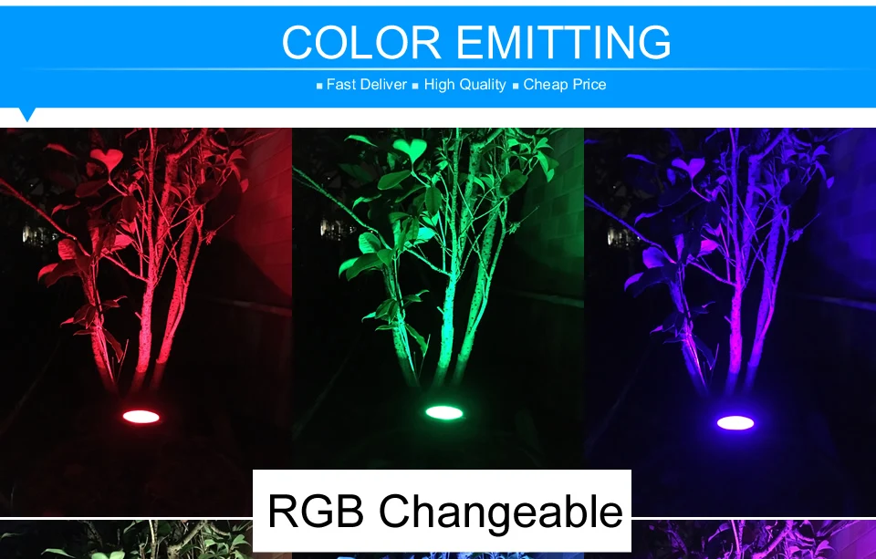 MD-1-RGB2_r1_c1