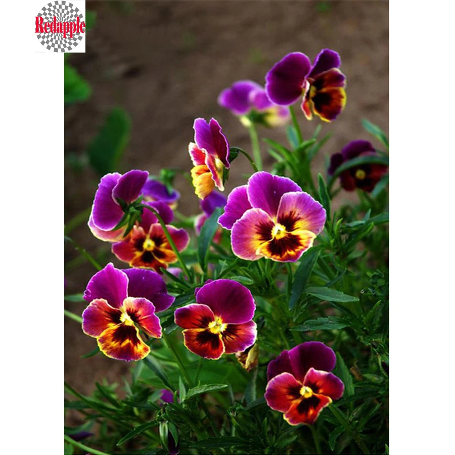 

Diamond Painting Full Square Pansies Flower 5D DIY Diamond Embroidery Sale Diamond Mosaic Picture Of Rhinestones Needlework arts