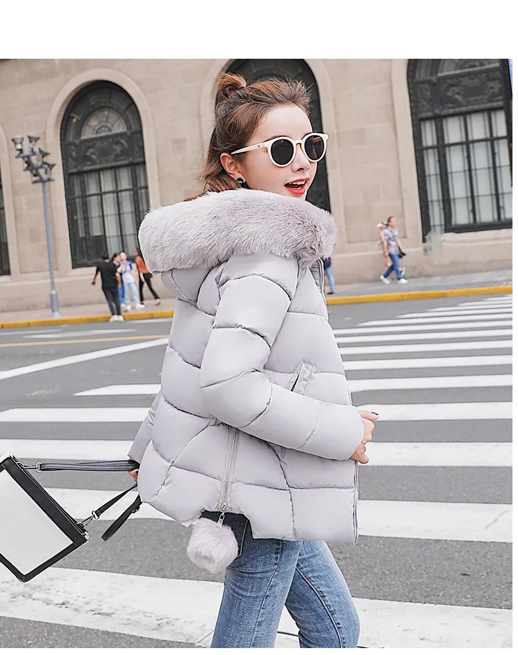 Cotton (35).jpg