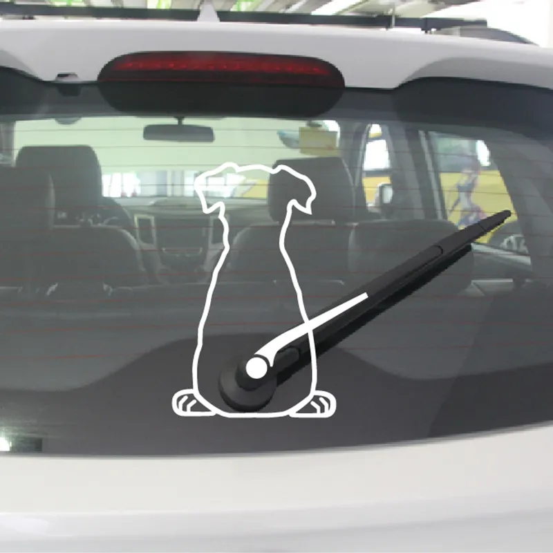 Dog Back Funny Cartoon Sign Car Bumper Sticker Decal "SIZES'' 