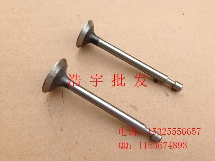 

Engine accessories,EY20 intake and exhaust valves 167 RGX2400 intake and exhaust valves