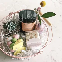 Cocostyles Заказная Шикарная круглая детская розовая железная проволочная корзина коробка с ручкой для сада коробка для свадебного подарка и дома коробка для хранения