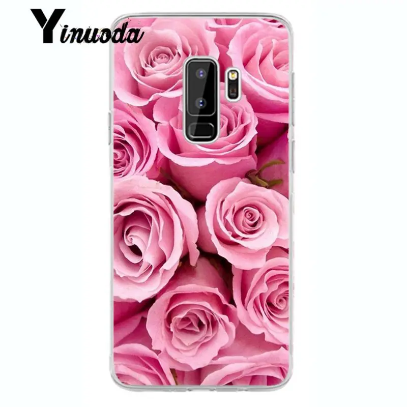 Flower Cherry Tree Candy Colors Leaves 