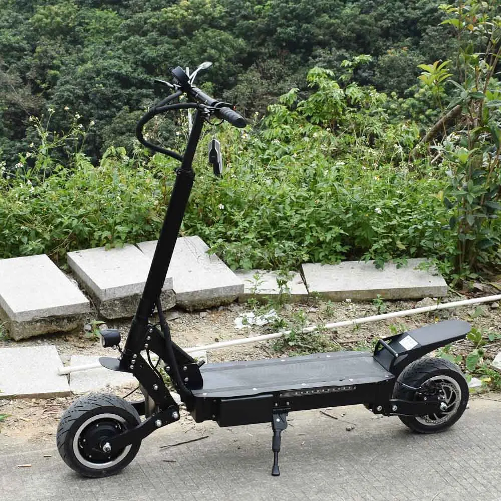 foldable scooter (1)