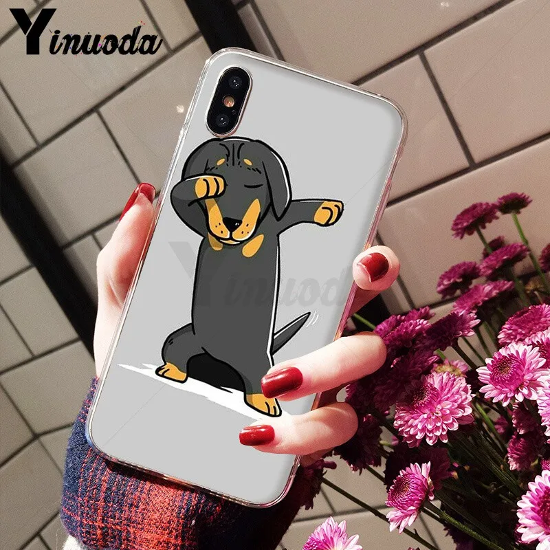 Animals Dogs Dachshund