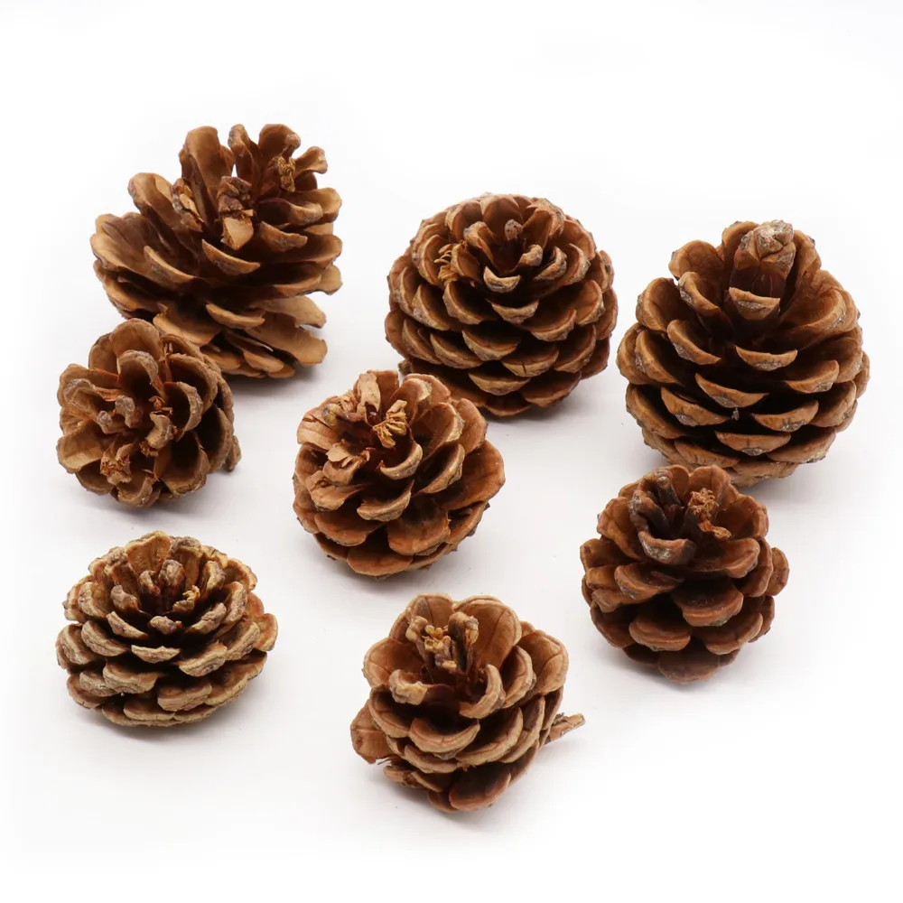 

1pcs Pine Nuts Handmade Artificial Plant For Christmas Wedding Home Decoration DIY Handiwork Accessories Crafts