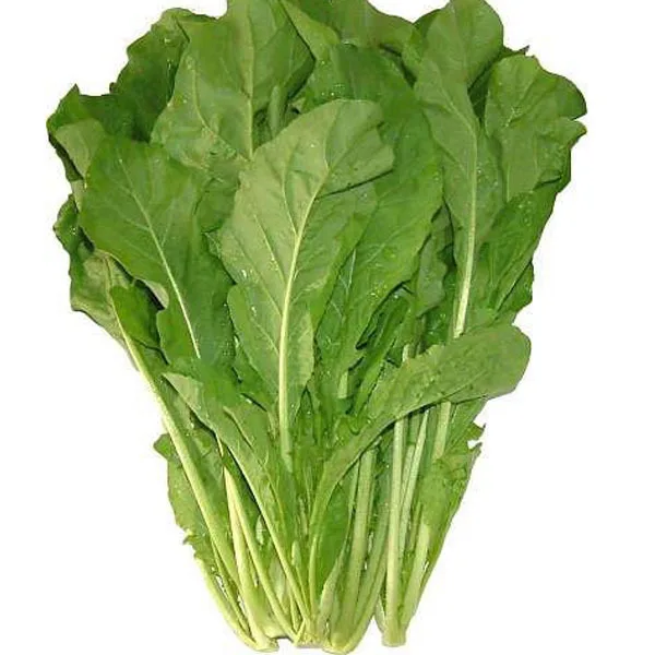 Rocket lettuce seeds,Green leafy vegetables,Original Package vegetables