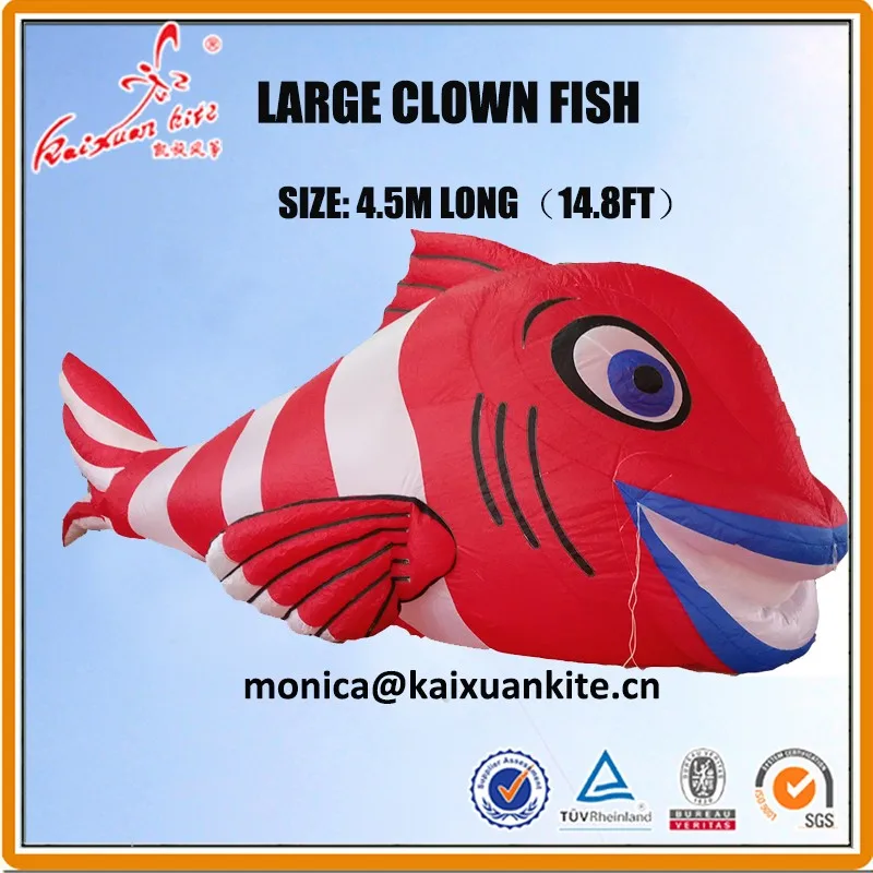 Red Clown fish