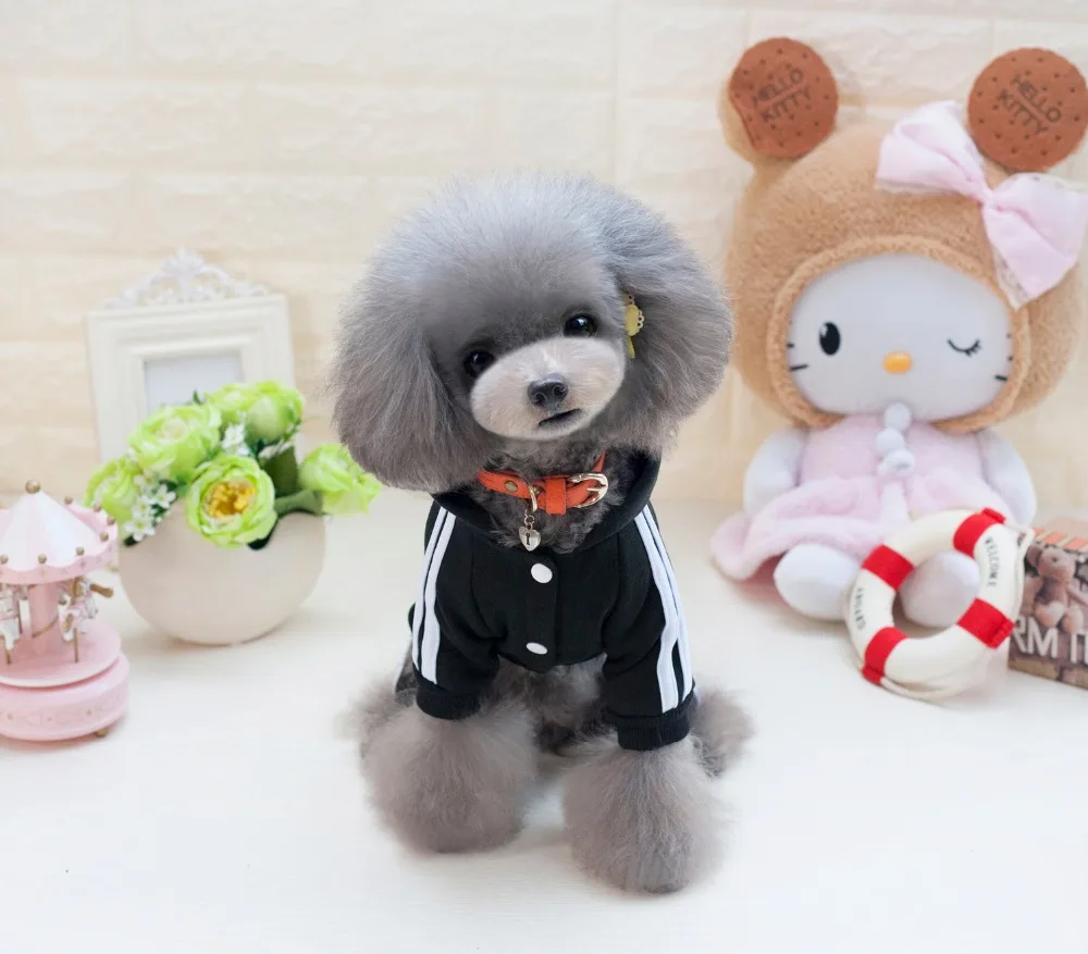 Y73_New_Pet_Cat_Dog_Costume_Clothes_Cartoon_Bear_Puppy_dog_4_Legs_Jumpsuits_Autumn_Pet_Hoodie_Rompers_Coat_Clothing_ (13)