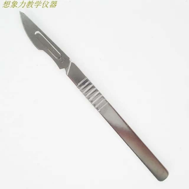 Scalpel ( 23 blade anatomical handle + ) dissection tools biology