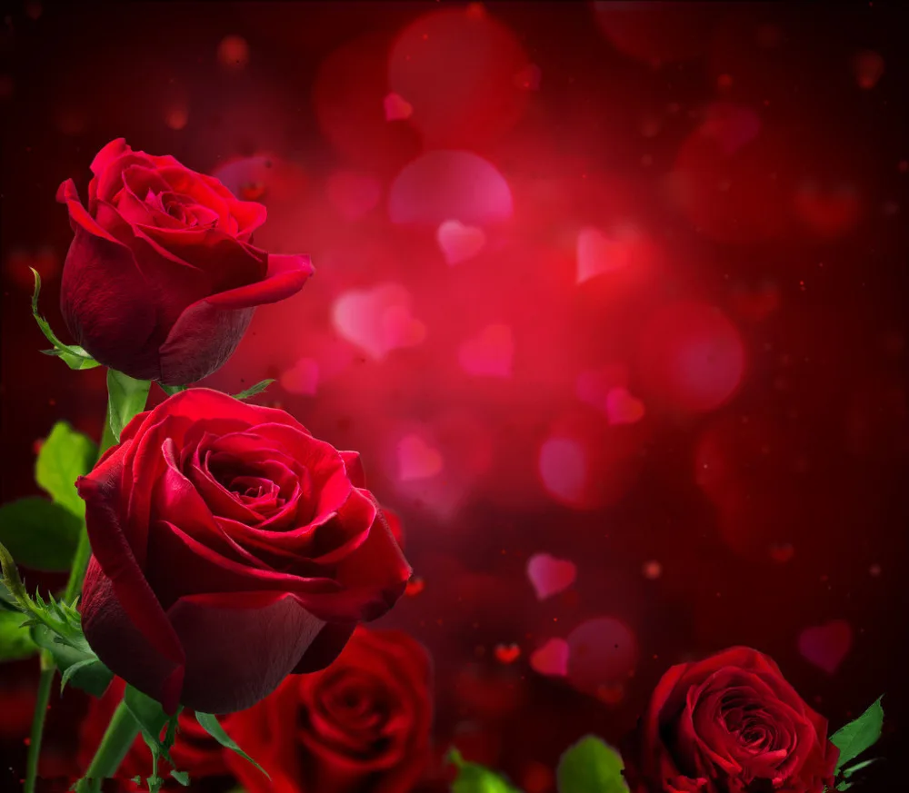 

10x10ft Vinyl Custom Photography Backdrops Studio Props Valentine day Theme Background NVA-044