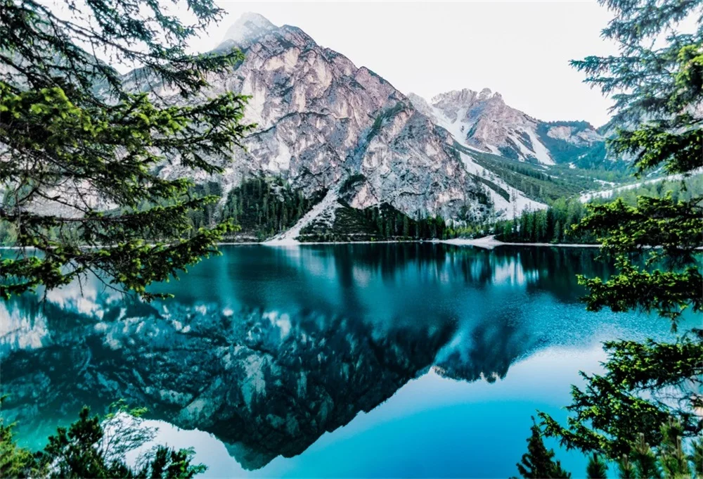 

Laeacco Natural Backgrounds Mountain Snow Lake Tree Pine Wallpaper View Photographic Backdrops For Photo Studio